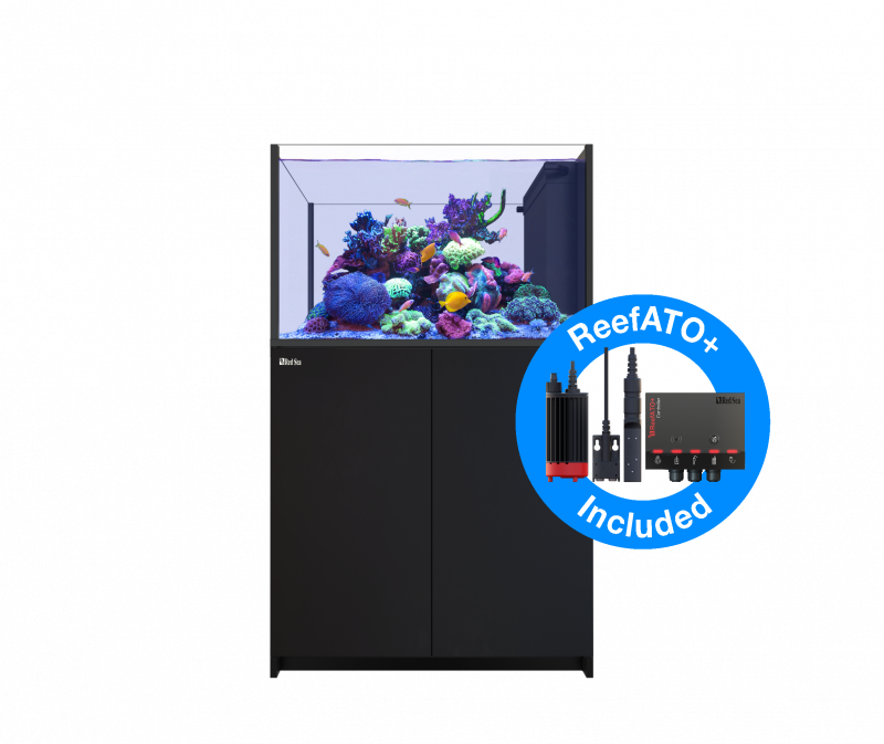 Red Sea Reefer Peninsula 350 G2+ DELUXE Meerwasseraquarium Komplettset